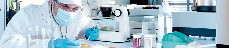 1 2 arbeitgeber berufsmoeglichkeiten 2